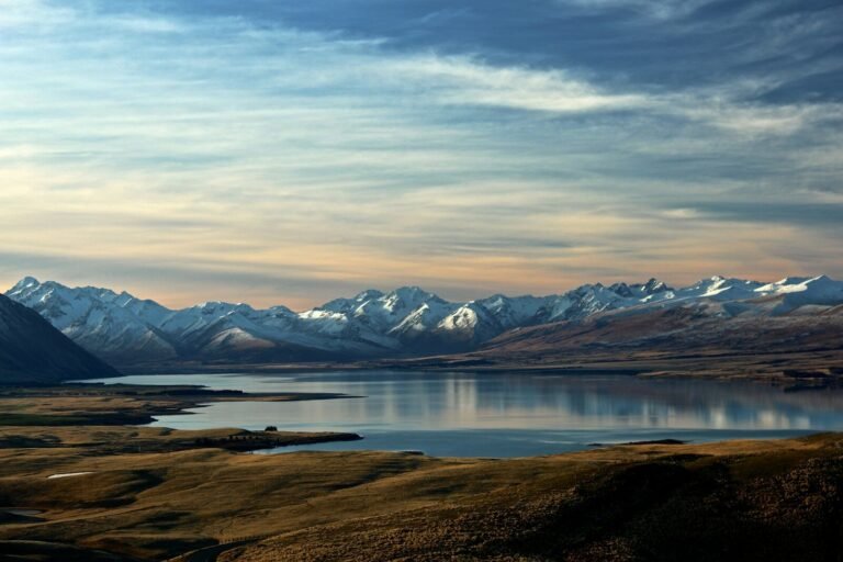 Top New Zealand Clothing Brands You Should Know