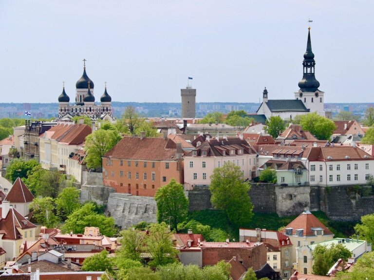 Top Estonian Clothing Brands You Should Know