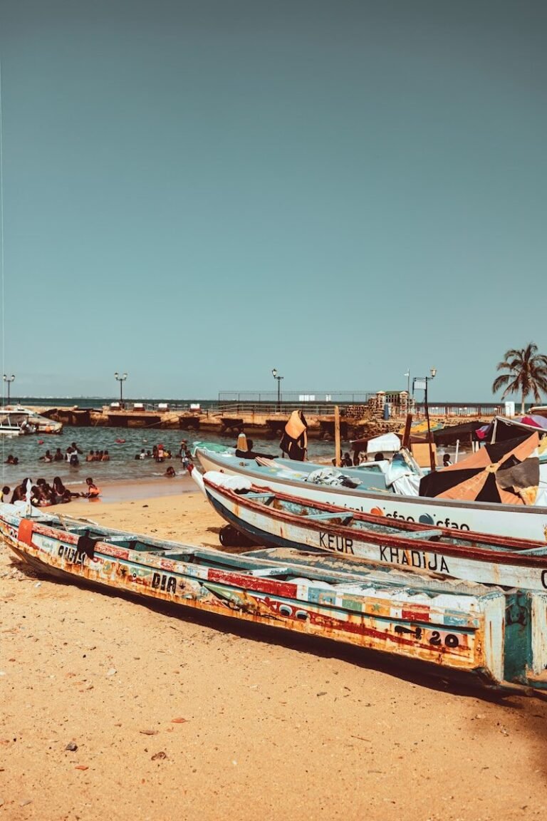 Top Senegalese Clothing Brands You Should Know