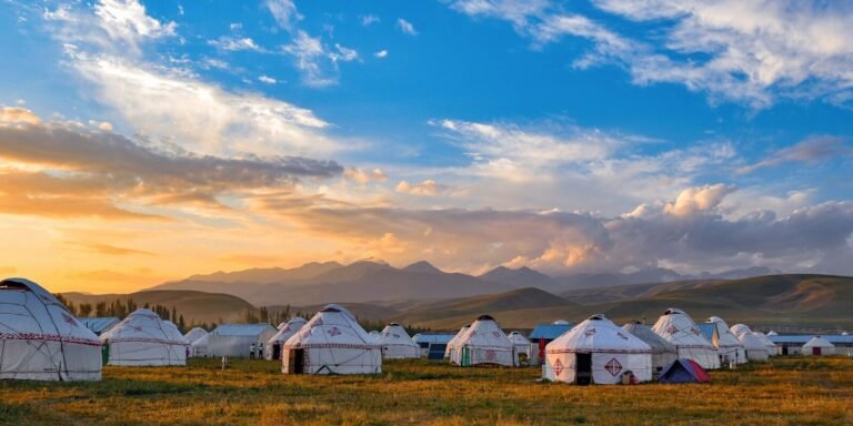 Top Mongolian Clothing Brands You Should Know