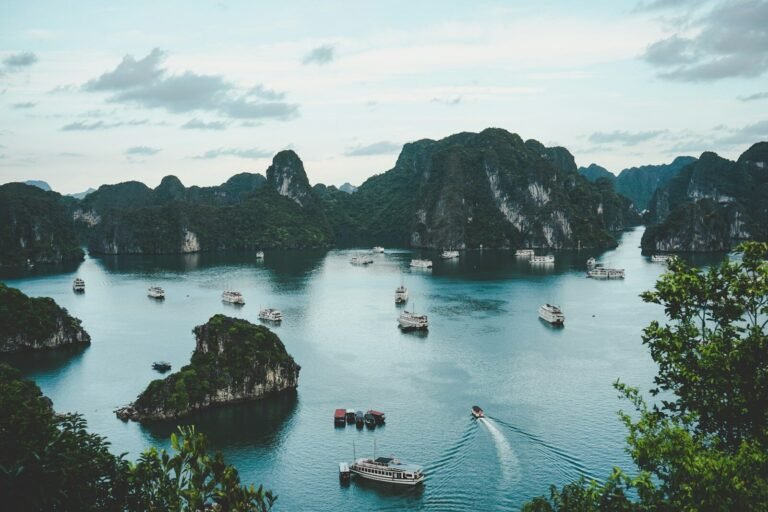 Top Vietnamese Clothing Brands You Should Know
